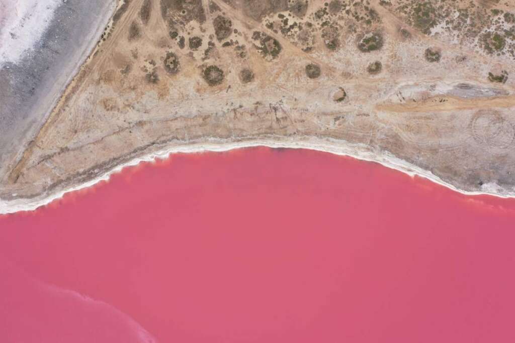 Flying over a pink salt lake. Salt production facilities saline evaporation pond fields in the salty lake. Dunaliella salina impart a red, pink water in mineral lake with dry cristallized salty coast