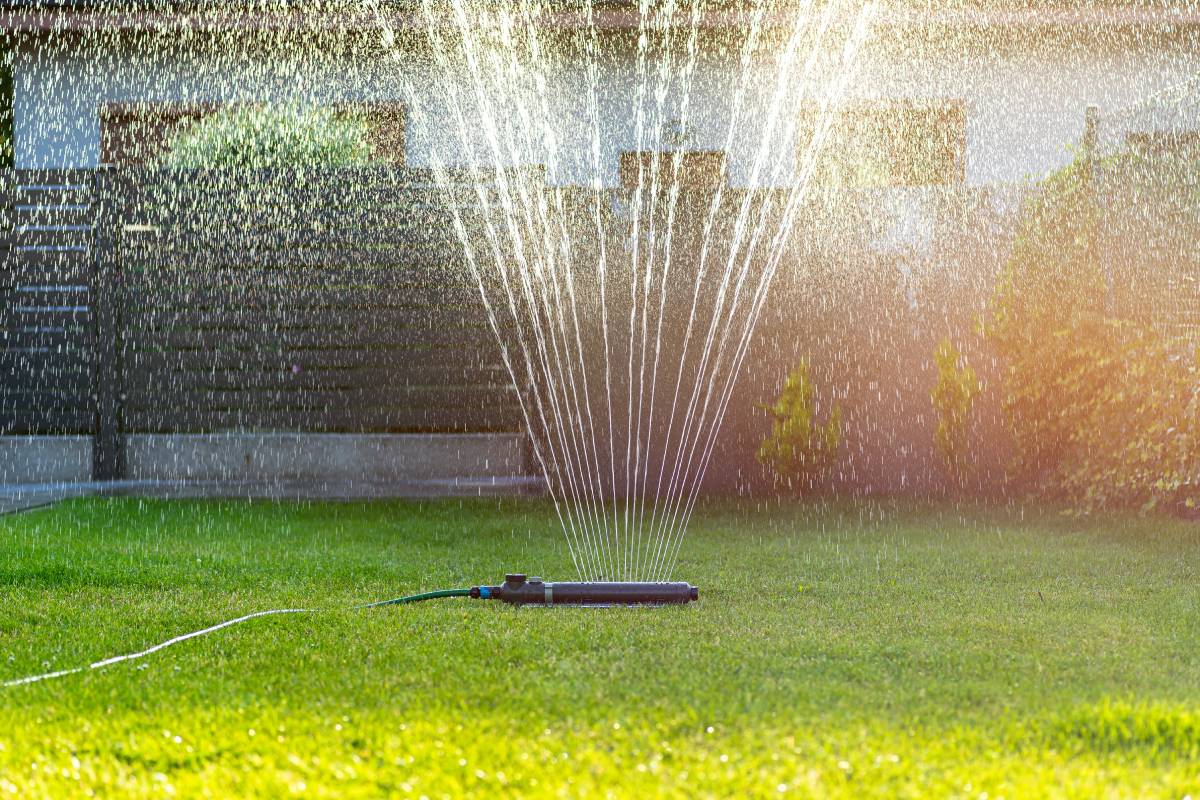 Grass swing sprinkler watering the lawn in the backyard of a house.