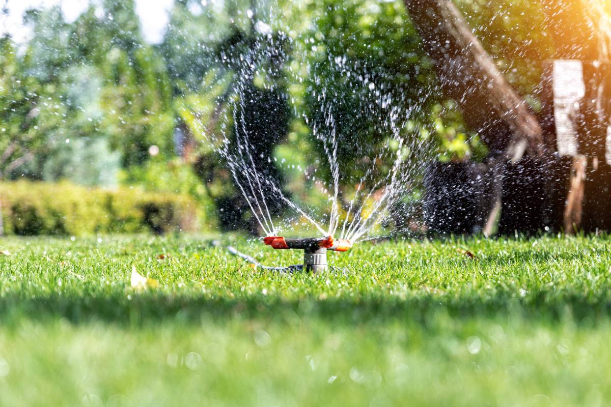 This guide explores into watering, soil, and turf strategies to help your lawn not only survive but also thrive through summer’s extremes.