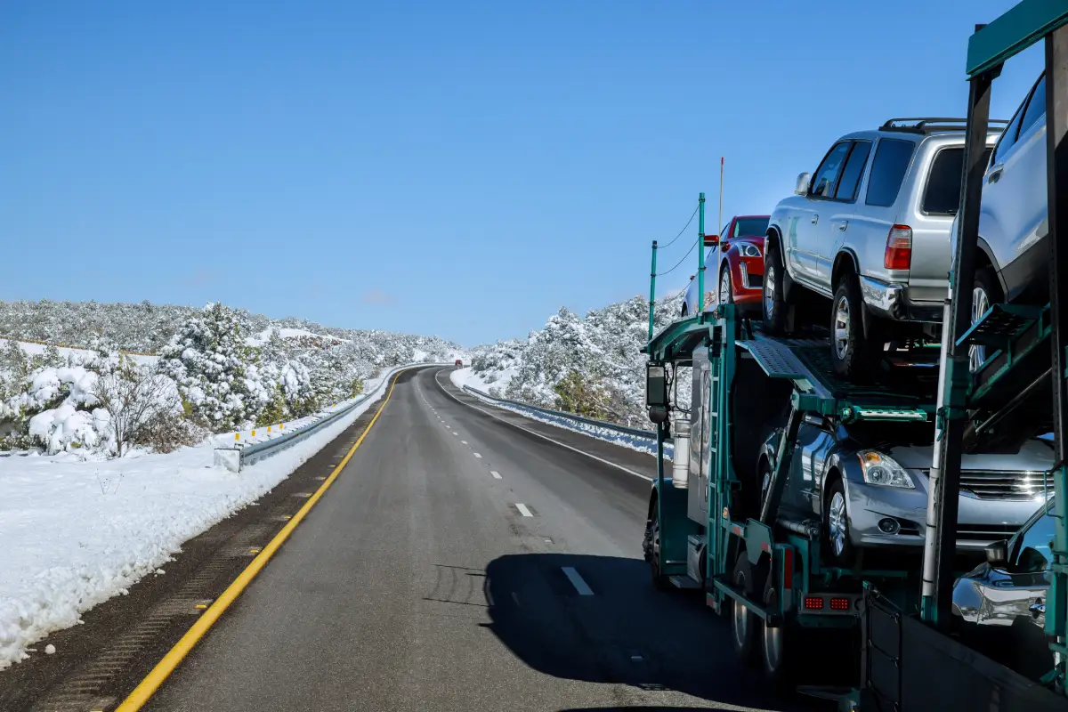 A long asphalt road winds between snow-covered shrubs and trees under a bright blue sky.